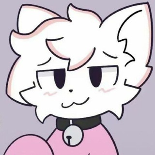 кошак