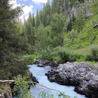 Братья Заведеевы