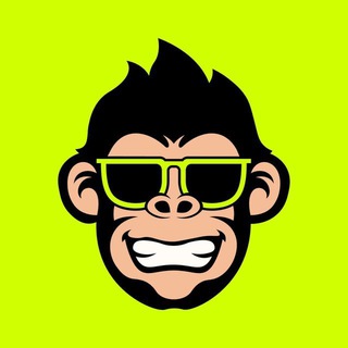 Monkeys Money