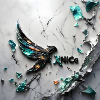 xNice WildRift group