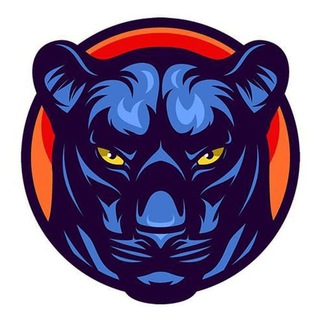 PantherSwap BR-PT