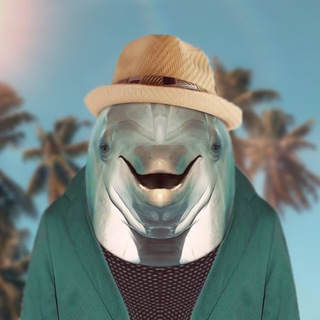 Dolphin2050 🐬