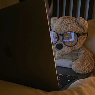 Teddy Bear