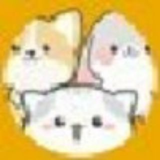Battle Pets Token