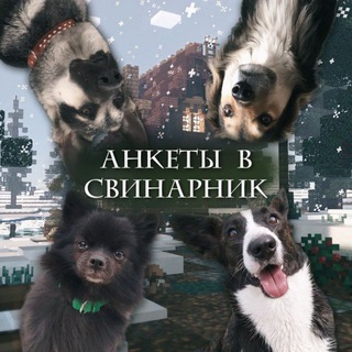 Анкеты в свинарник