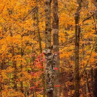 Ranger