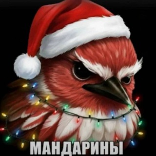 ЛАГЕРЬ beaf 28k🎄