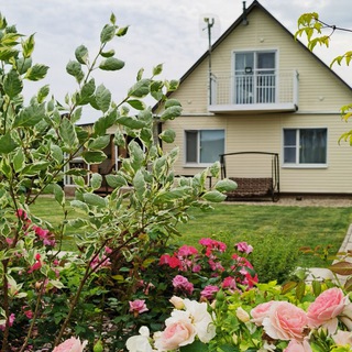 Отзывы skorpion_house