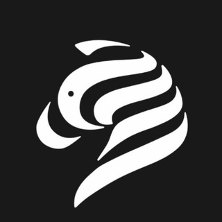 斑马 | Zebra Calls