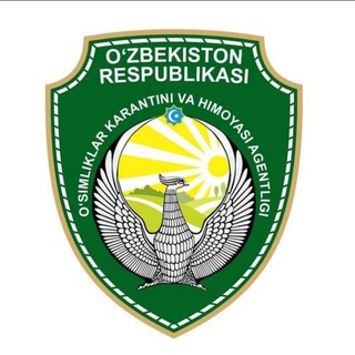 KARANTIN RASMLAR