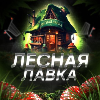 🏕️ | Лесная Лавка