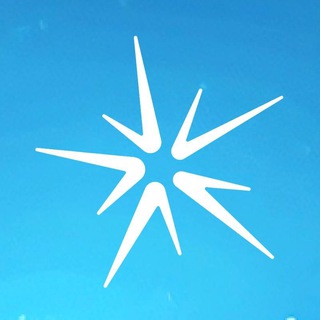 Salvo | Official