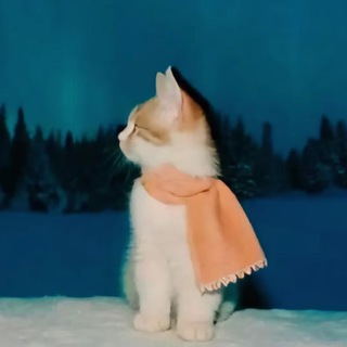 @𝙣𝙤𝙫𝙖 𝙧𝙞 🥭