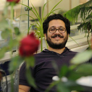 Mostafa Ghasemian