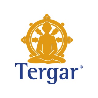 Телеграм-чат Тергар