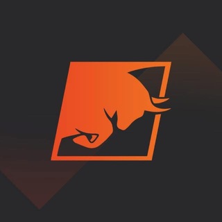 TNFX.co