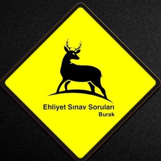 Ehliyet Sınav Soru Paylaşımı