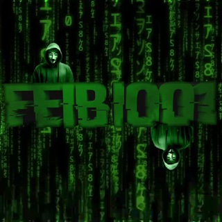 Feibi001