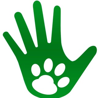 DogsMSK