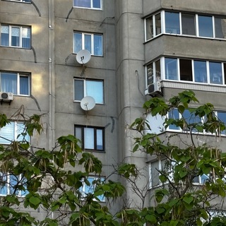ярко