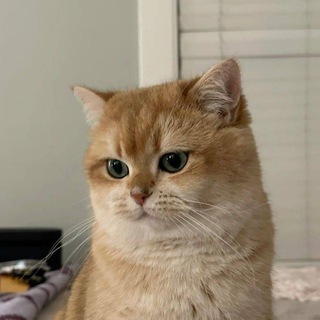 ᅠᅠᅠМенеджеррр ᅠᅠ