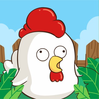 Chick Coop Chat #1 (ENG)