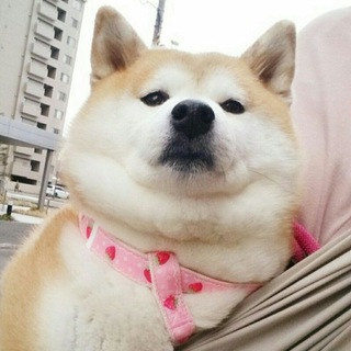 А