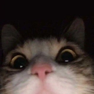 Qat'iyat