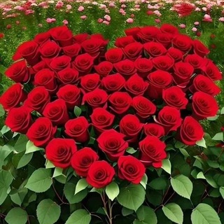 ادمین استاد هاشمی