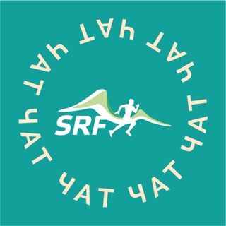 SKYRUNFEST