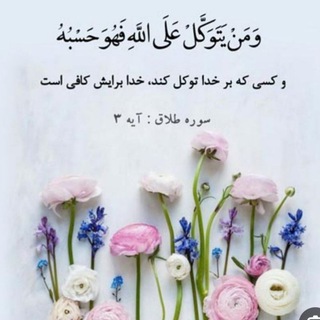 🌷ĄⱢƗȒƎⱿĄ 🌷