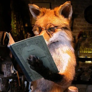 Предложка Неподслушано 🦊