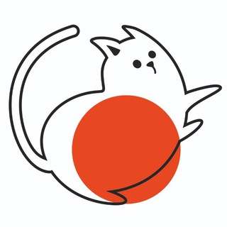 Кот МОЕТ