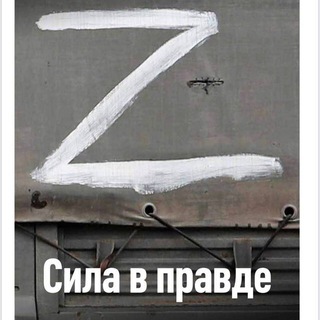 Z 2022