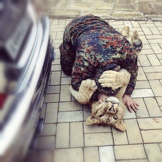 сабер
