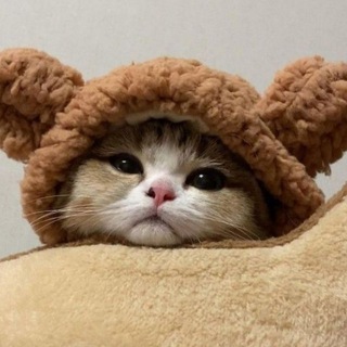 Дарина