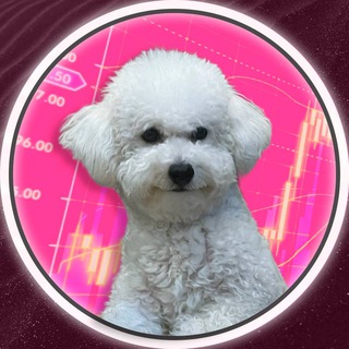 🐶 КОКСИК TON (AIRDROP & PRE-SALE)