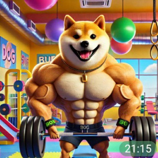 Pump Doge Fun