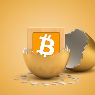 Bitcoin Community