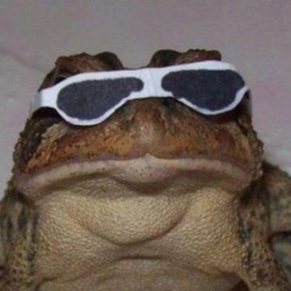 Жабич🐸🇺🇦