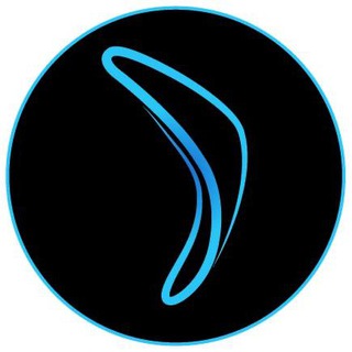 Boomerang Capital