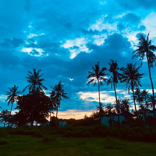 Awesome Life