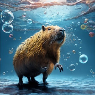 bulat5280