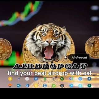 AIRDROPCAT DISCUSS