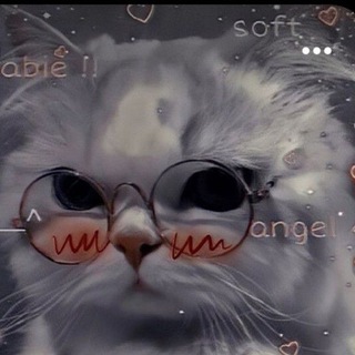 Котик
