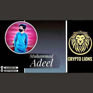 MUHAMMAD ADEEL || OWNER OF CRYPTO LIONS||