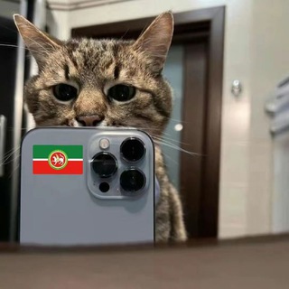meow10xp💸