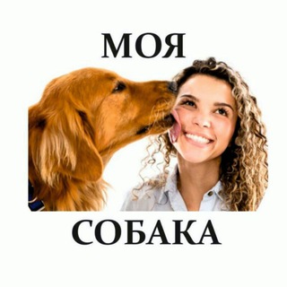 Моя Собака Общение