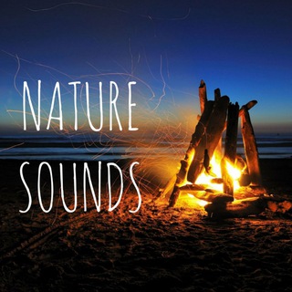 🏕️🏝️ Music for sleep , study & meditation 🌱🌄