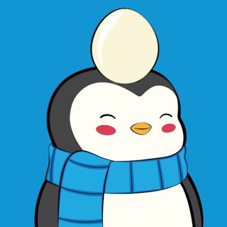 Pengui clash Türkiye